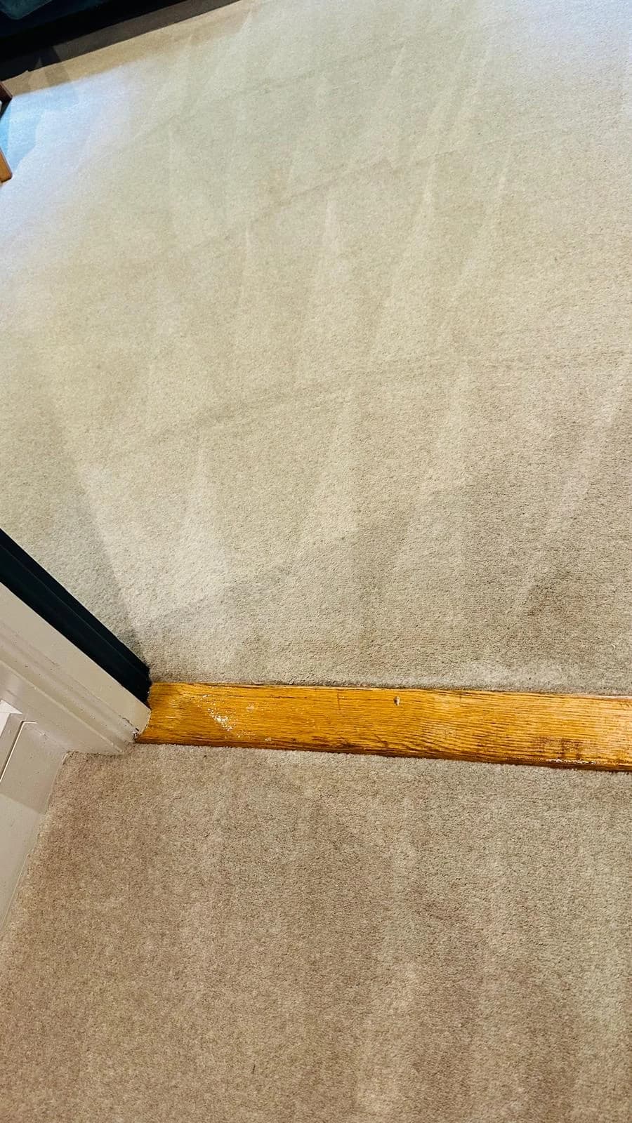 The doorway carpet after cleaning, with fewer visible marks and a more even pile beside the wooden threshold.