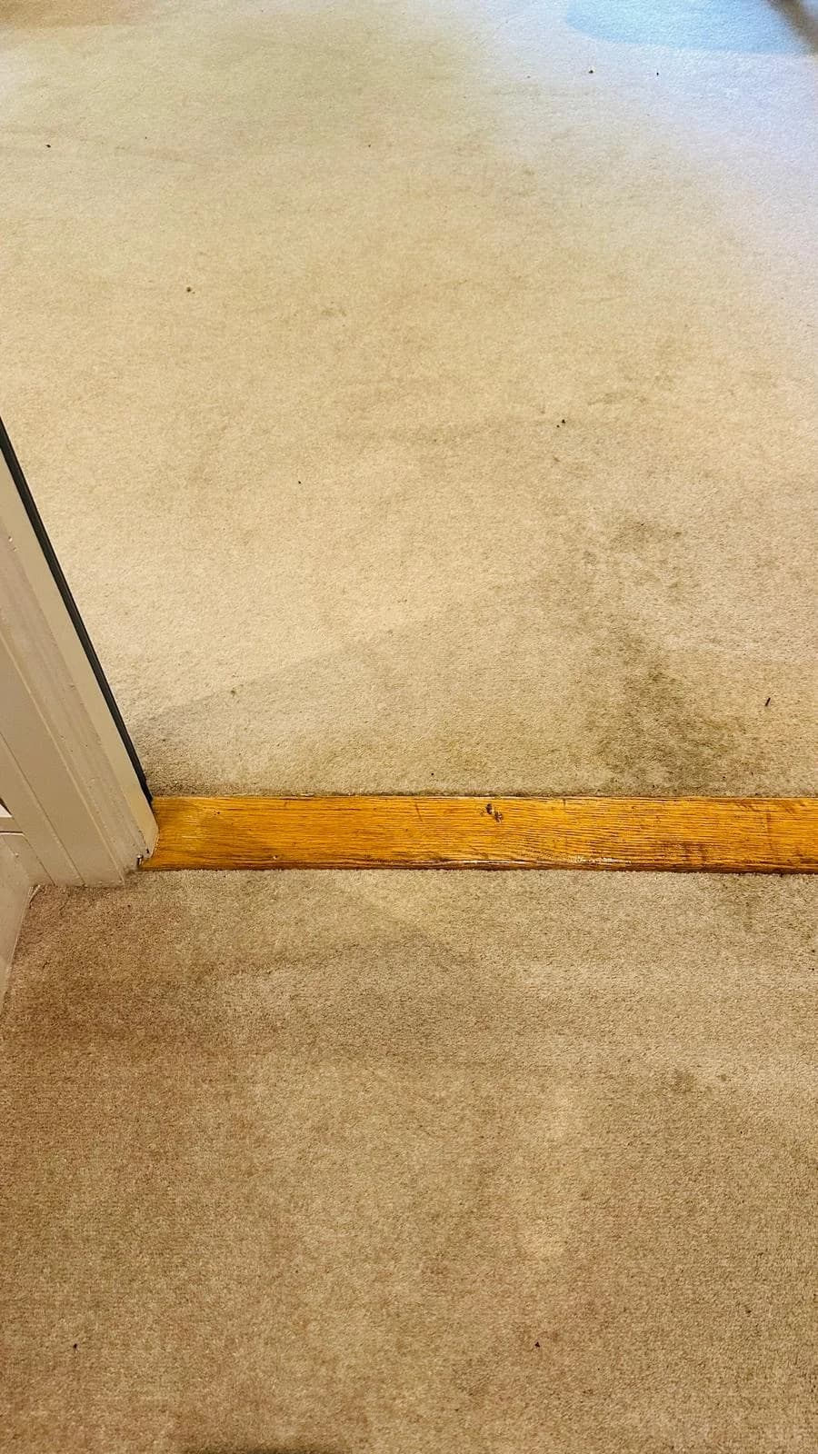 Beige carpet before cleaning, with scattered marks near a wooden doorway threshold.